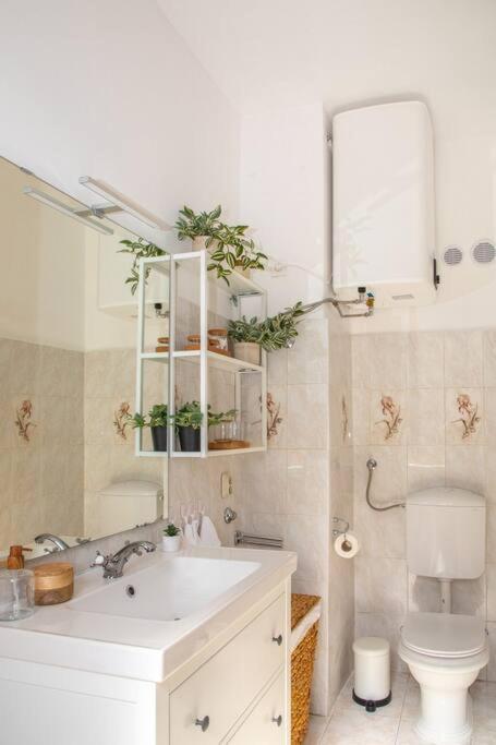 Brand New City Center Apartment Nostalgija Σπλιτ Εξωτερικό φωτογραφία